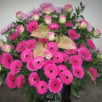 354aee02-a98e-4c98-8738-e18009ca5e26