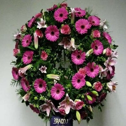 f180d9a1-ec8b-4a52-a945-4cda6e2f4005